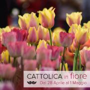 Cattolica in Fiore 2017… Colori, profumi, divertimento e tante tipicità del nostro territorio! 