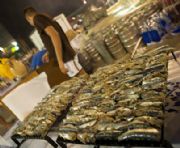 La Grande “Rustida” di pesce a Cattolica: la festa dei bagnini!